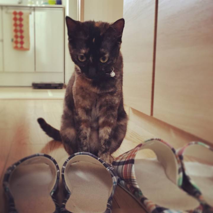 Afee8a62 80bb 4c88 8d65 acfb338f2073