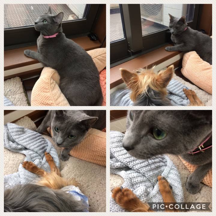 Afef587f 03b9 4b16 9ed8 60c930e1e656