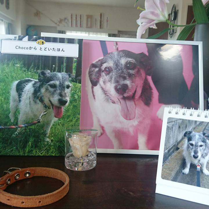 Afefbeb2 ee87 40b4 8c87 ecf00797de87