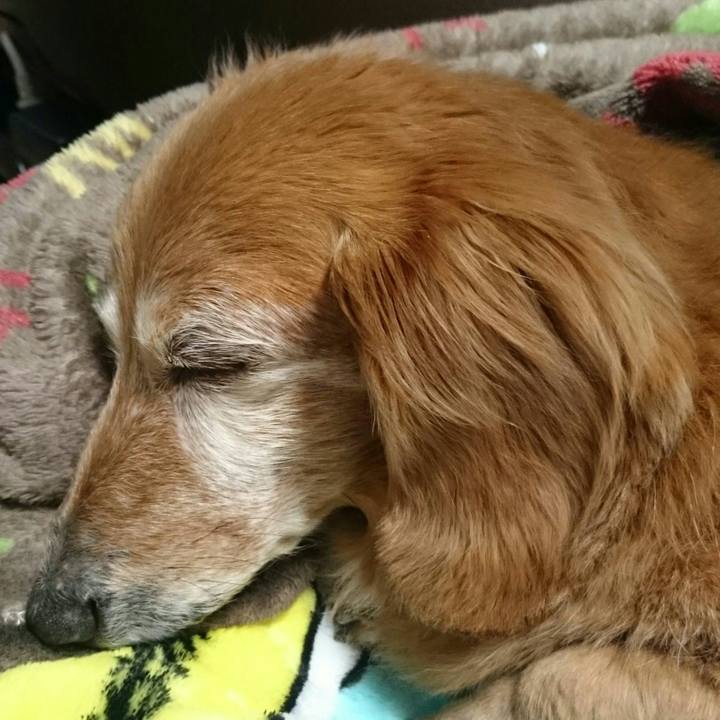 Afeff1c0 7d5d 4fb5 84f3 08a70546d7f1