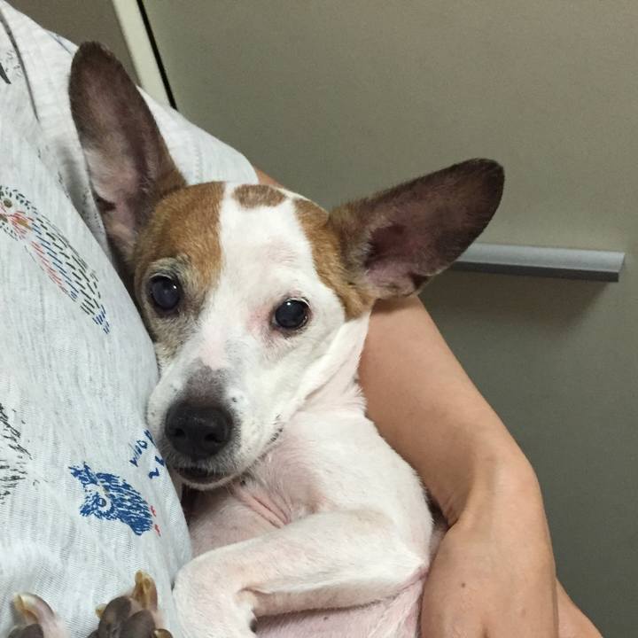 Aff003e4 7333 4657 9641 7b47806c9d3a