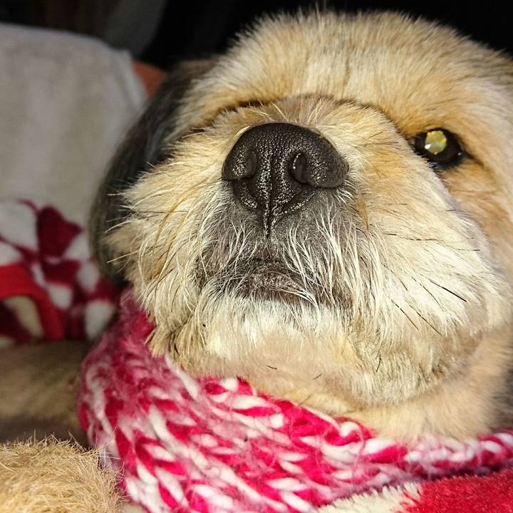 Aff1c698 4864 4145 bfe1 6a490b8d3aef