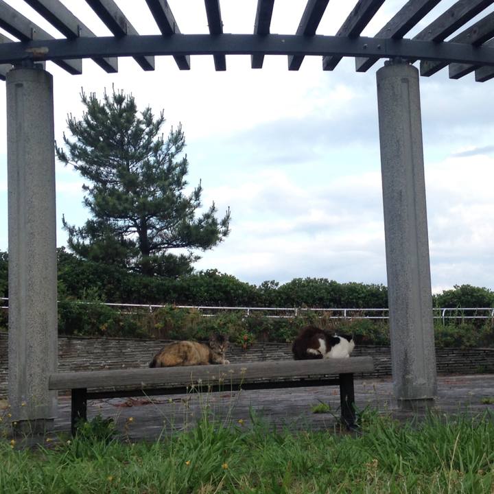 Aff221d4 7acd 4e78 b5ff 4e874a4ff0a8