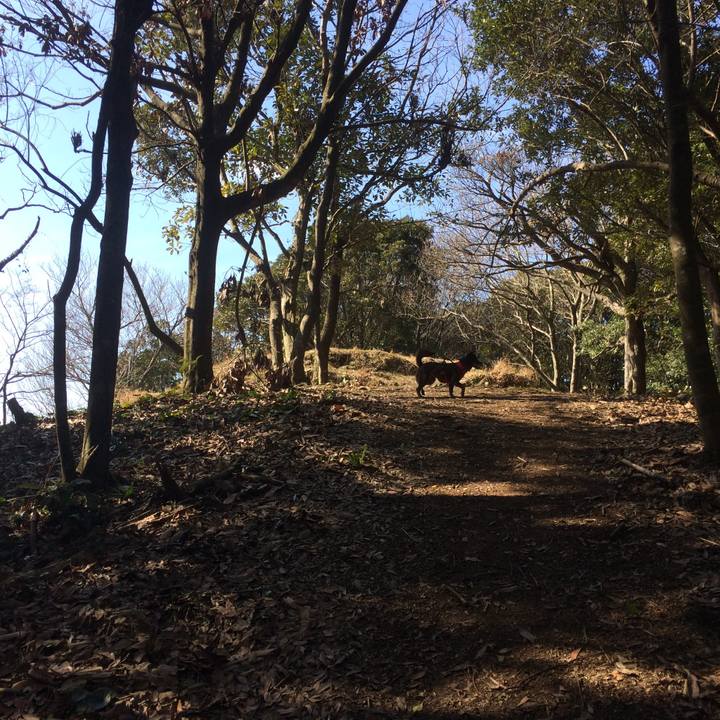 Aff22ccd abf0 4008 9dde 91b901df85e0