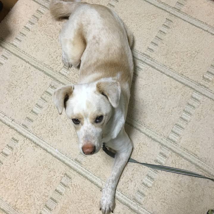 Aff29b7f 8f7a 45ca b0be 76c7daff7e4f