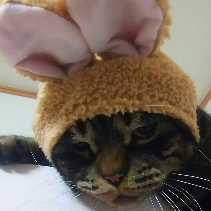 Aff2e848 5fa4 4531 bcb6 daa66fa72385