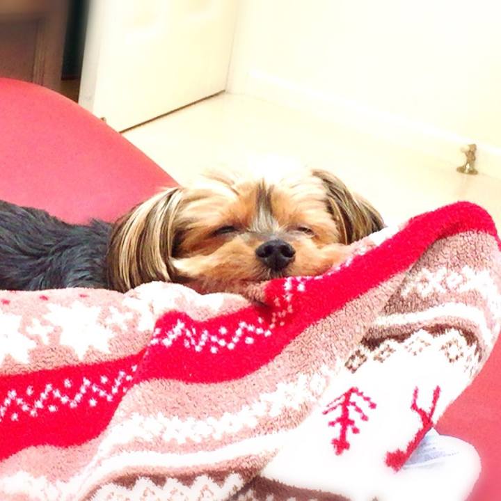 Aff35f53 e4df 454f b63c 4facce9e72c7