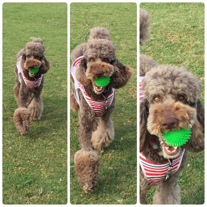 Aff3dff8 5ad1 488e b8e2 e8bd2d1a3055