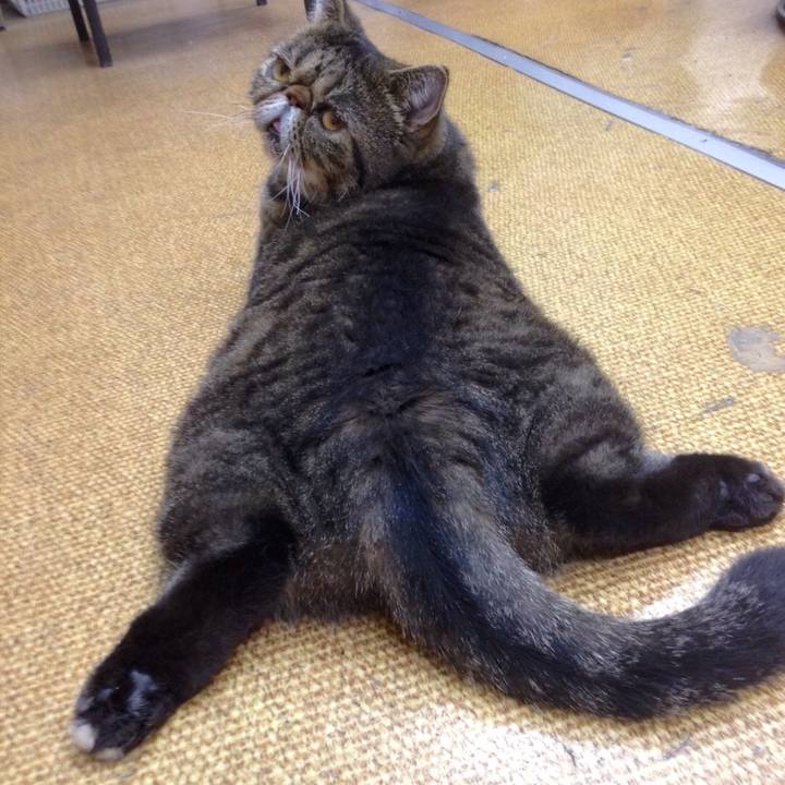 Aff473ae 8e56 4d4c b707 dd1cb416af98