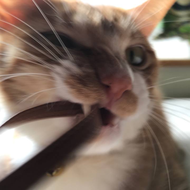 Aff55bd8 b845 49d8 a338 8f462dbedf24