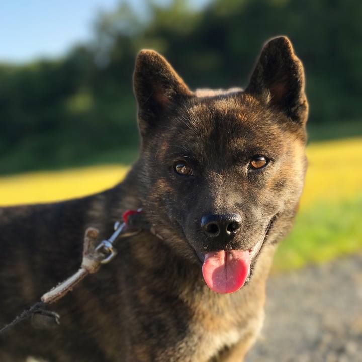 Aff5a27f 2b71 4881 9329 2a6a88f2f4ce