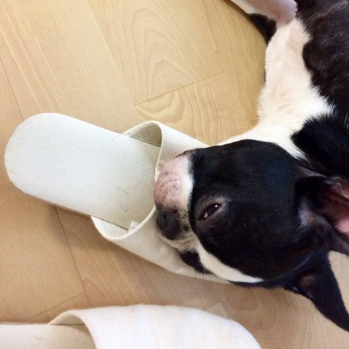 Aff5cc41 a065 4862 991a 1fa774ca7a6d