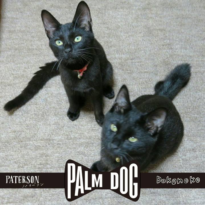 Aff60dd7 b7d7 4122 9c47 1ba1c4ef71c5