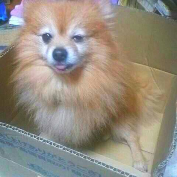 Aff6a6cc 90fc 4d4d 8e7e f17f7d239a3f