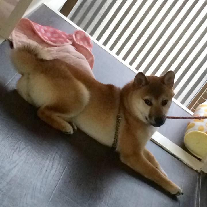 Aff7a362 e592 4310 ae7b 471014c91956