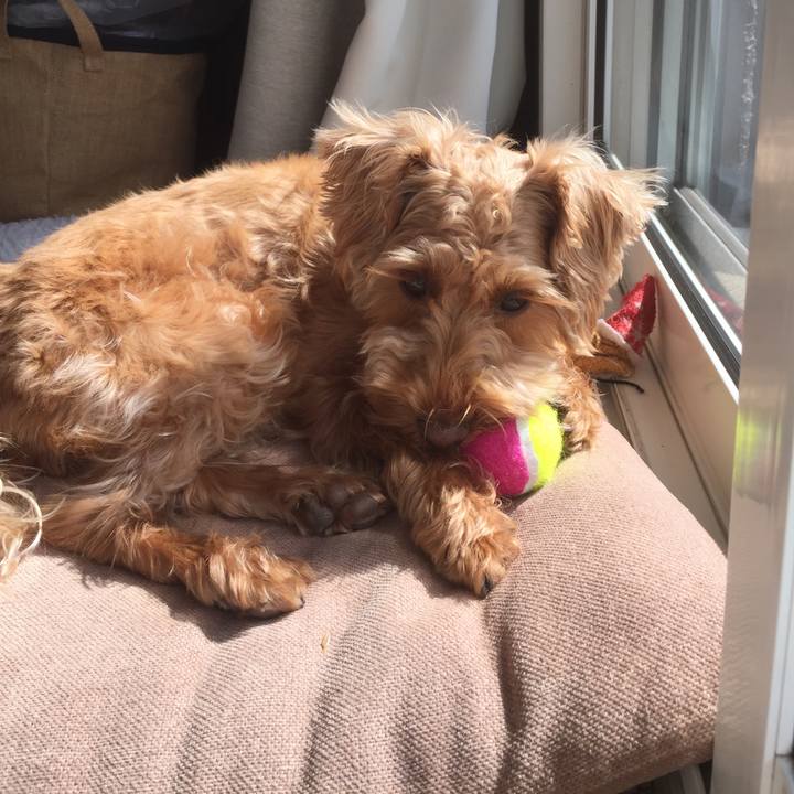 Aff80649 915e 403b b8eb b34e0b0fcfce