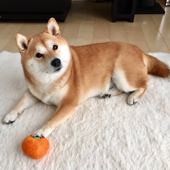 Aff86977 6dd1 4a10 8d92 e1e678ff1780