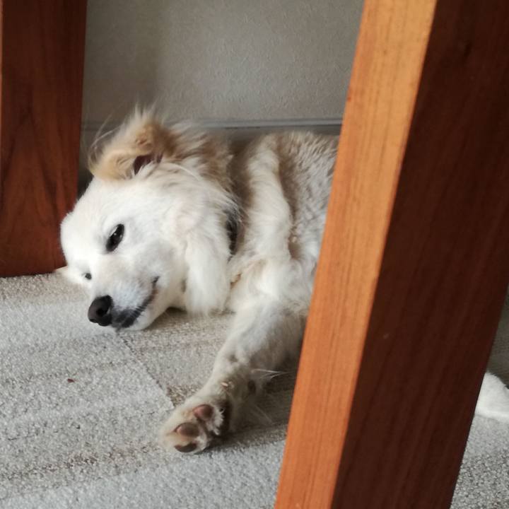 Aff88f18 e7ac 4472 8d5b 4a79ac3951a1