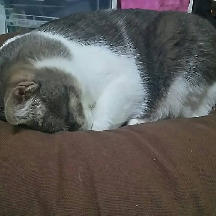 Aff8ed5e 89ac 42d0 ba08 2e9b3db399ab