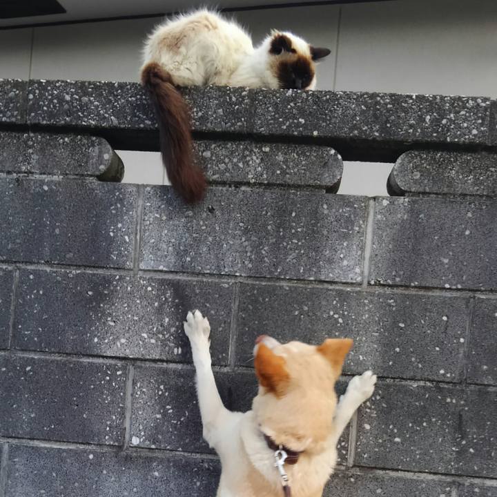 Aff980da ede4 4d70 943b c7ee12d9dc38