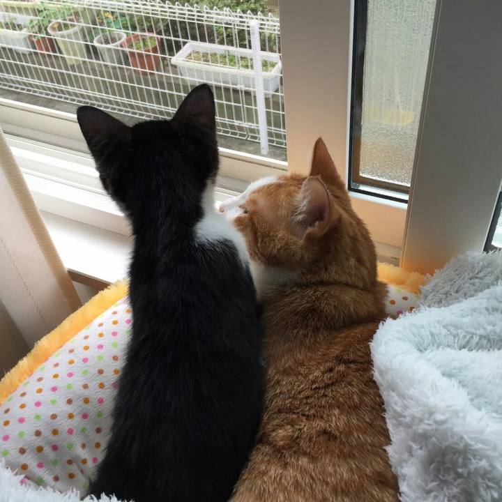 Aff99e11 1d8e 4cfc bd54 2a2509d0eedd