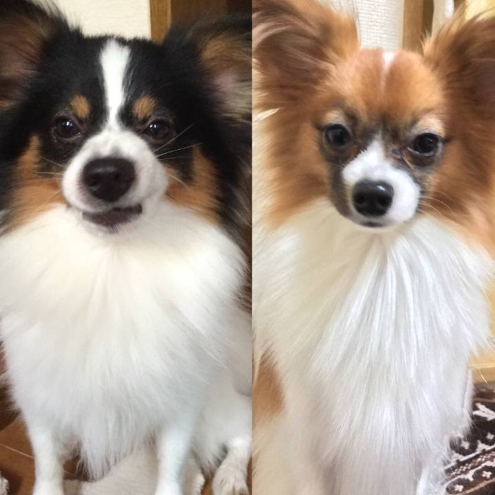 Affa843d ccf4 4d9a 8055 0ea0b2c4cc23