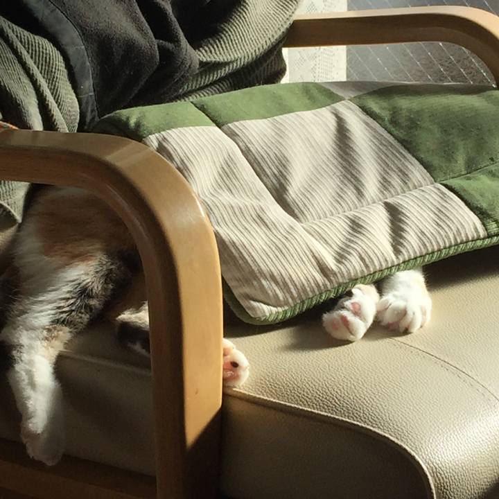 Affb7b52 ca58 426c b2d6 5a5eaac6d3b2