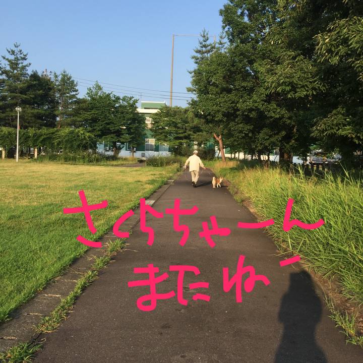 Affc0270 748a 47e1 8b14 66acb43fede9