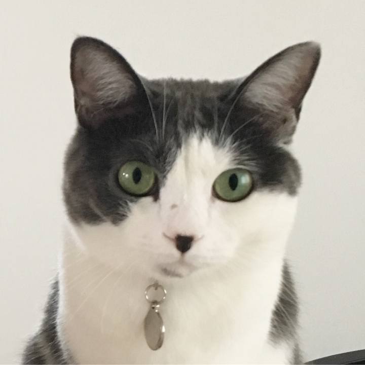 Affc24f7 75d4 46d8 a6ae b653a626c8d8