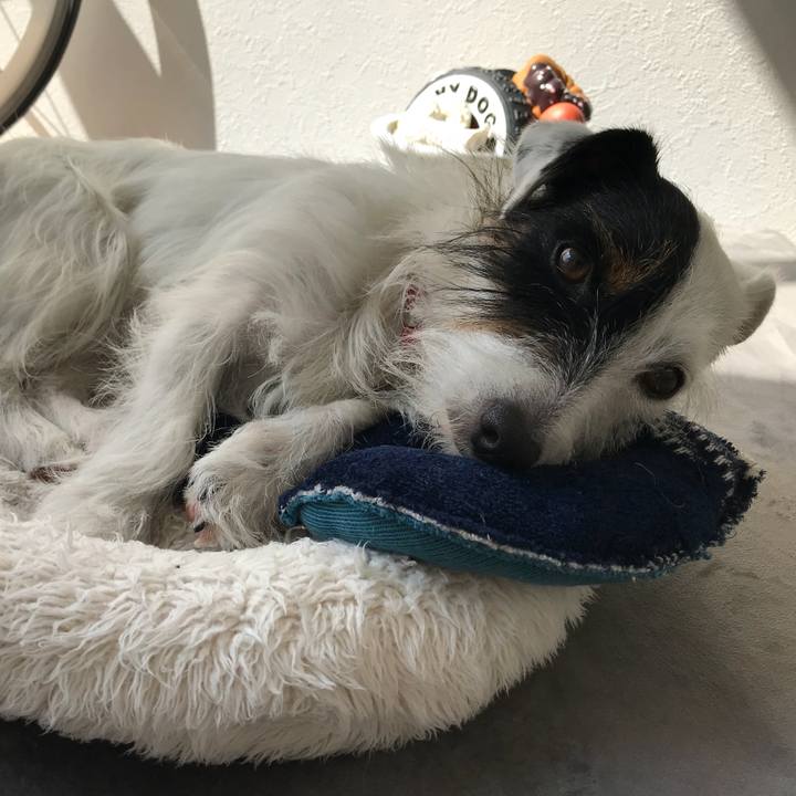 Affd77c6 e266 46e7 8152 486c4060fc3c