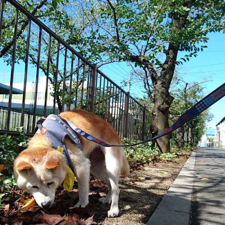 Affdd344 e038 4f08 91a4 ed0dc7aa447a