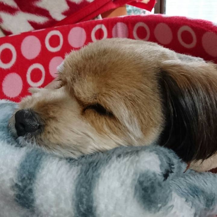 Afff779d 7665 4f95 b74c 966047a0646d