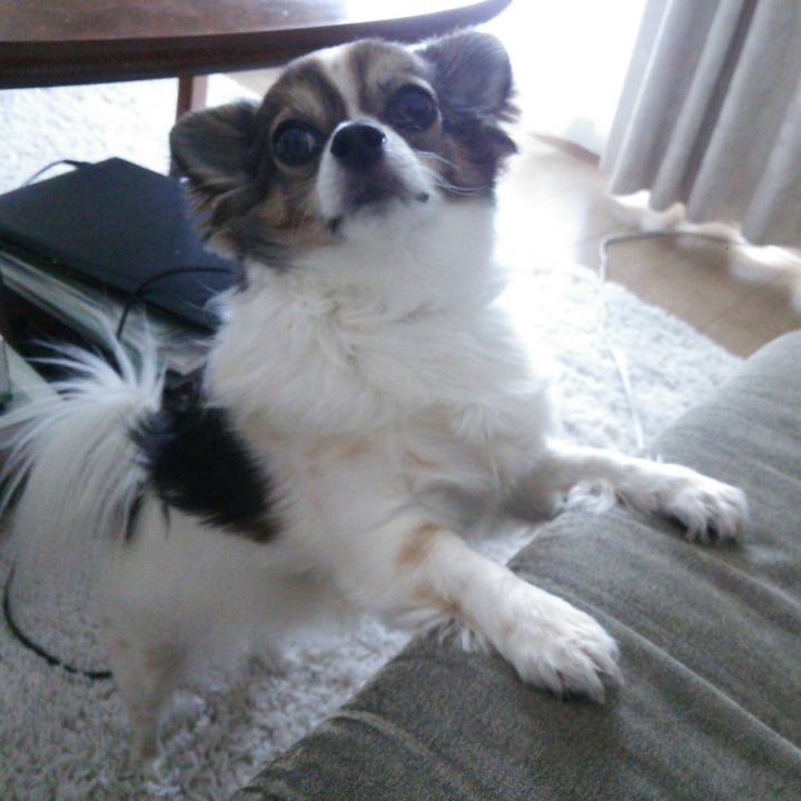 Afffbd3c c717 4552 873c fa13baf2d98b