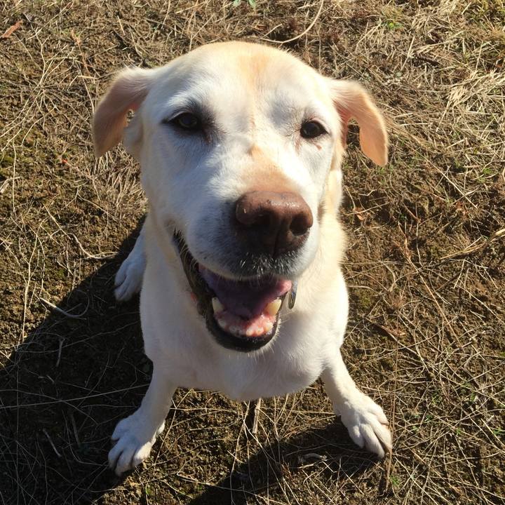 Afffcc2e 8d84 4922 a958 ad2c980af5b1