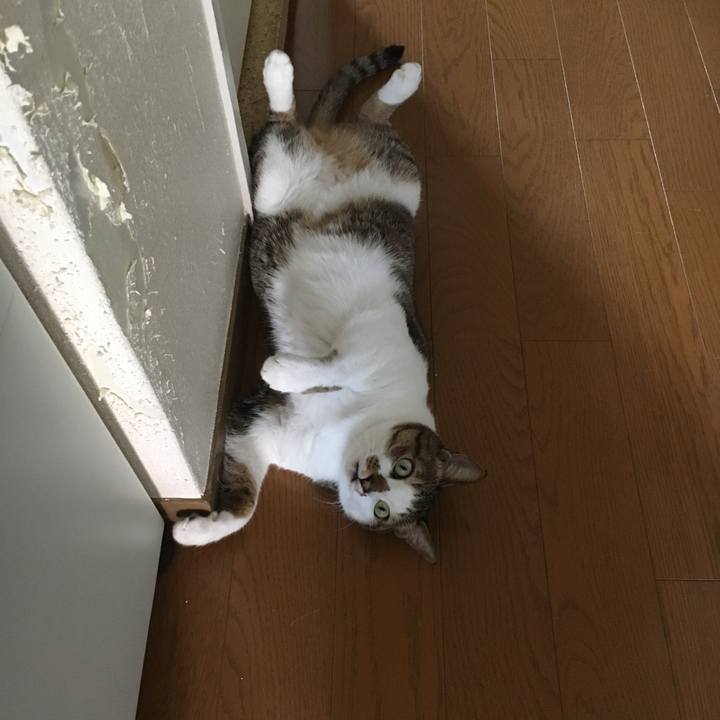 B0002c22 7769 422a 8d84 fb0045a13125