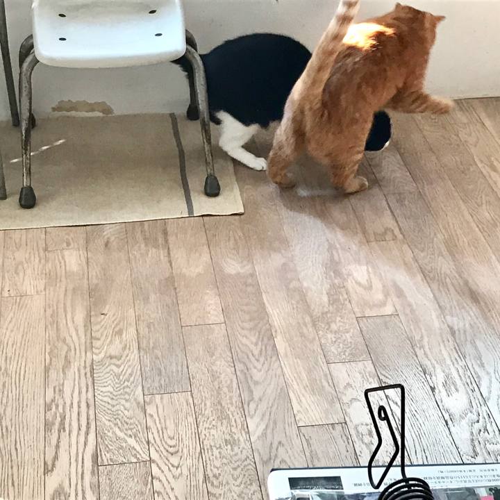 B0004ade 6df4 4873 bb35 4bb87d13f178