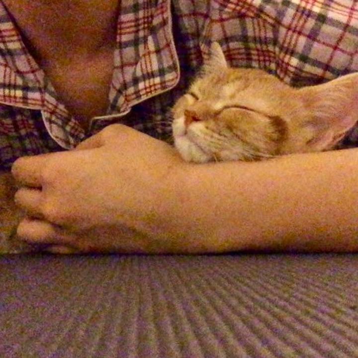 B0005586 4da0 4636 a5ed 8467f1e0a921