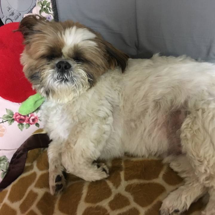 B000bb9e 177f 401b 9091 d1295e4b043b