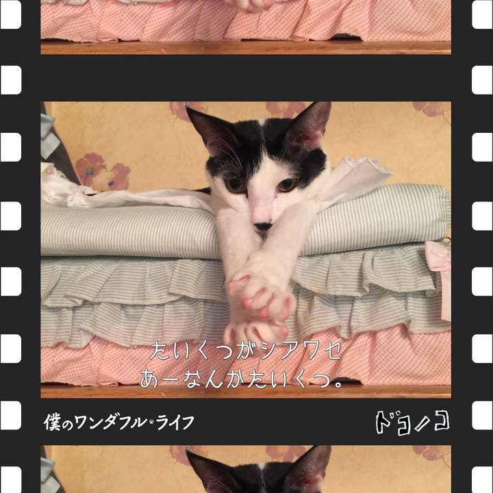 B000e842 f9d2 4620 b490 7d4c82c24055