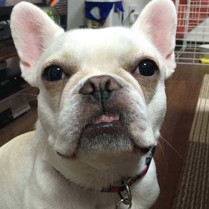 B0016fc1 5ed1 4734 aefe 9826797b3a07