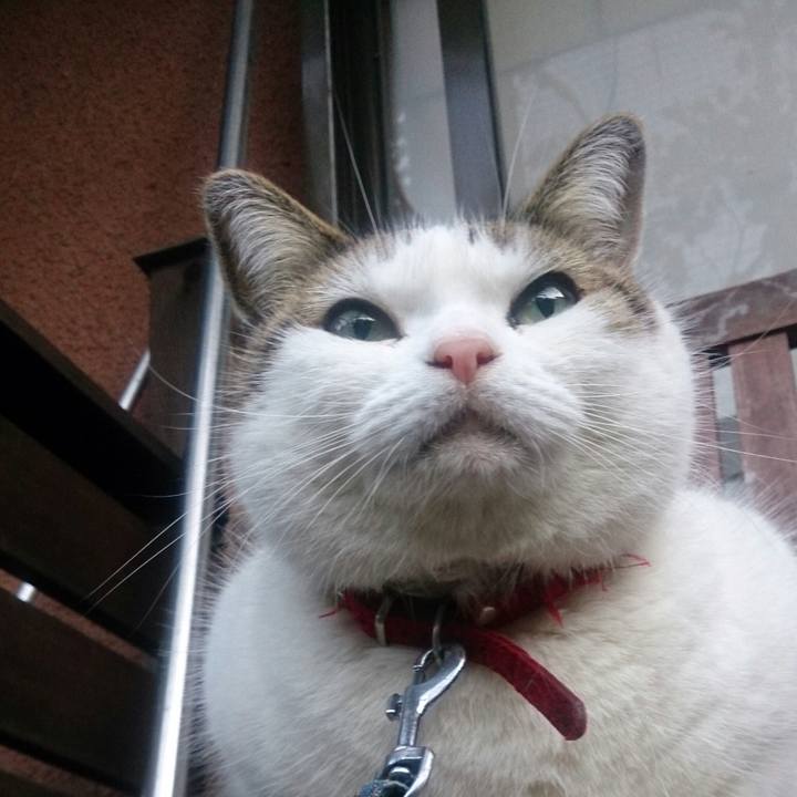 B002217e cd86 4d2c 869c 108c42e84ac7