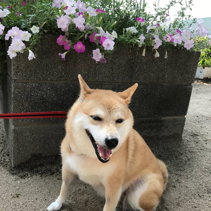 B002a6b8 4b2b 4aba a81f 51985a6793e2