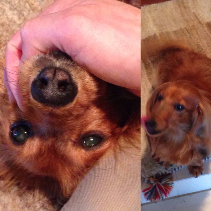 B002e49f 730f 45d4 b6f7 28f47a29c3d6