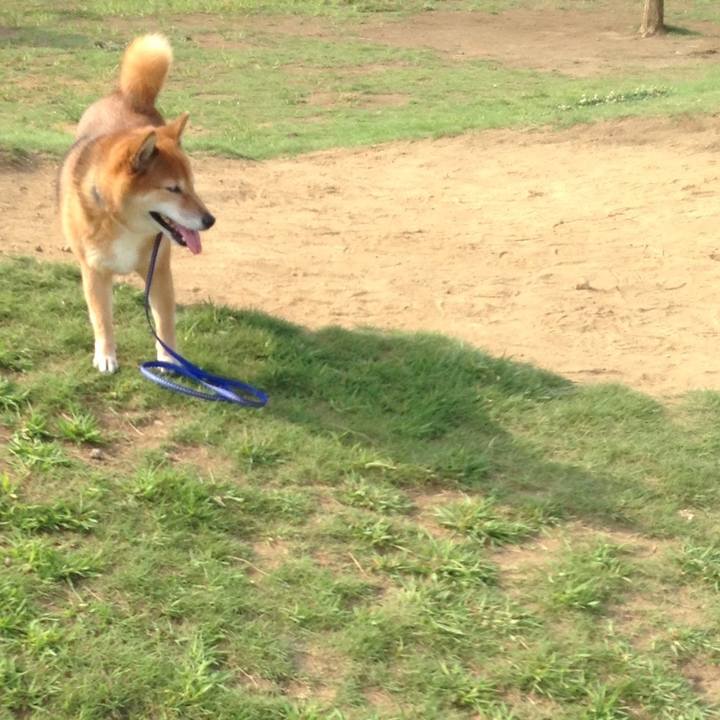 B0031a95 4e20 40d8 8a6c 49964629ec6d