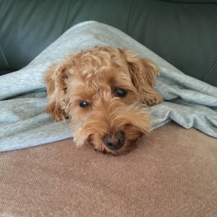 B0039615 2fa1 4dad 9d86 d86b0f17c4e9