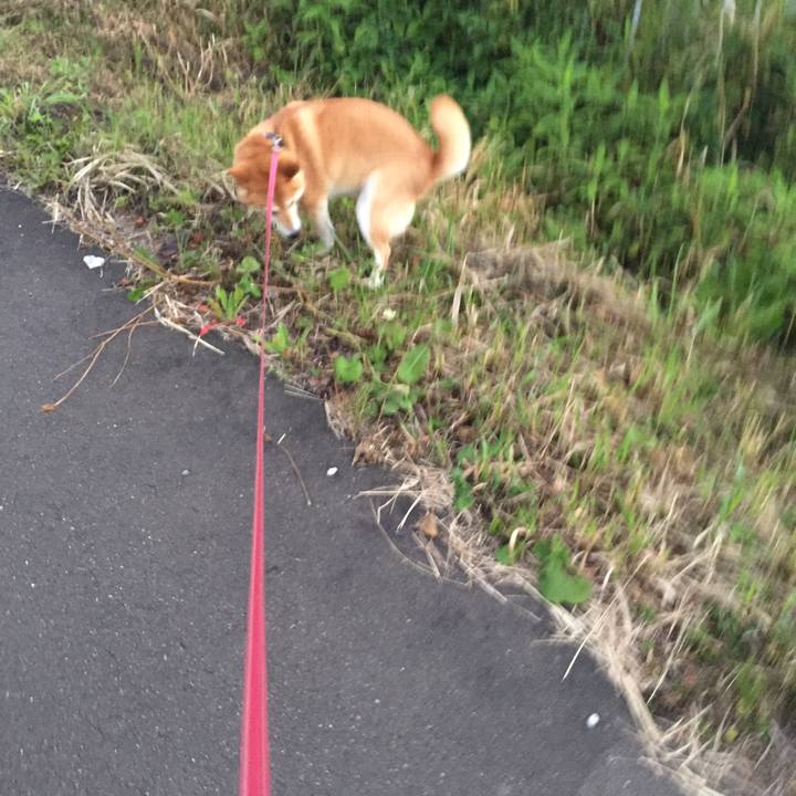 B003d65f 7578 42ae 93a4 5ca012a22ace