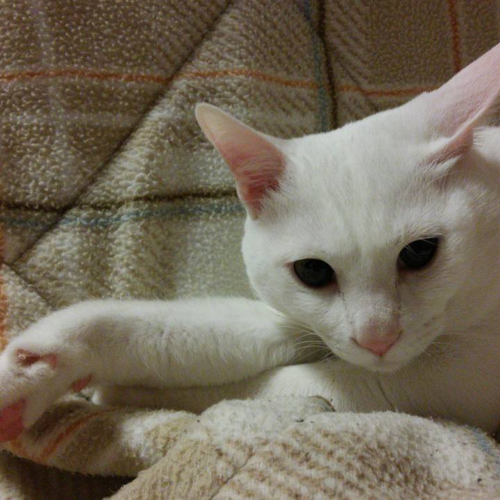 B0040d7f 070b 4d73 aef9 ff977f96117d