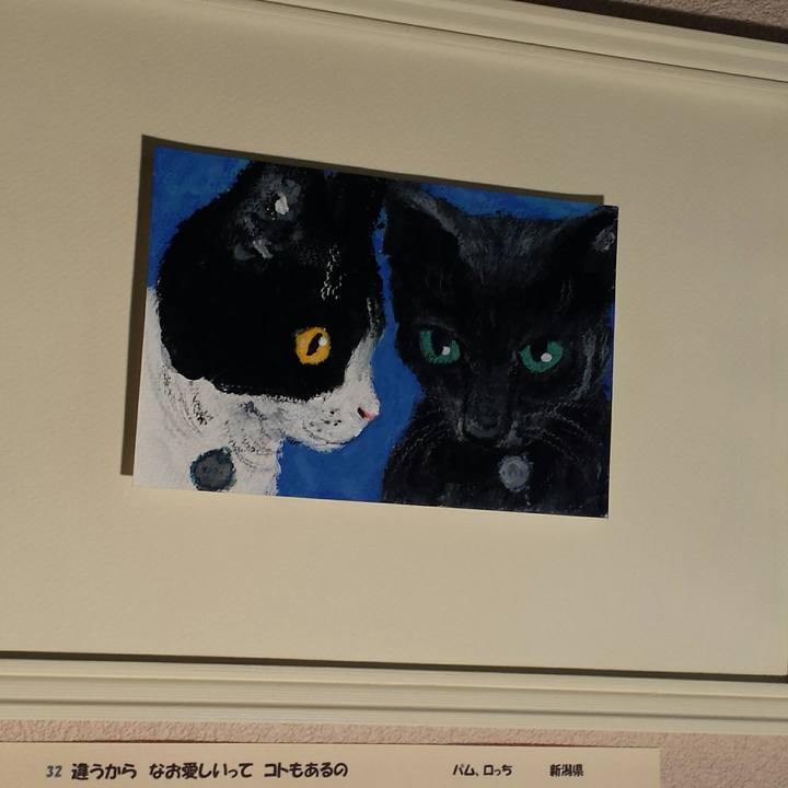 B0047154 7e1e 47a2 b181 9b7e64a5ee7e