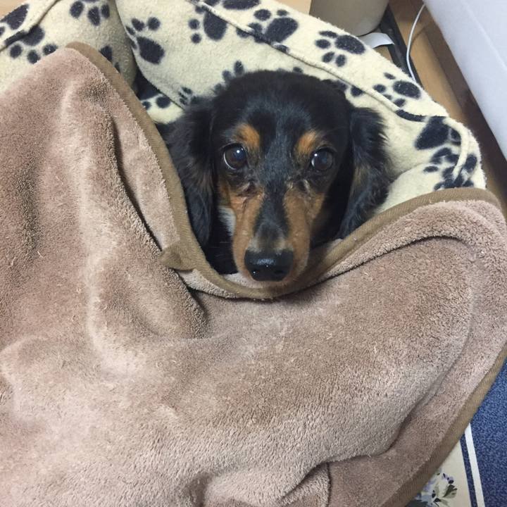 B004e5b3 7338 48e2 8713 60a50c90d00f