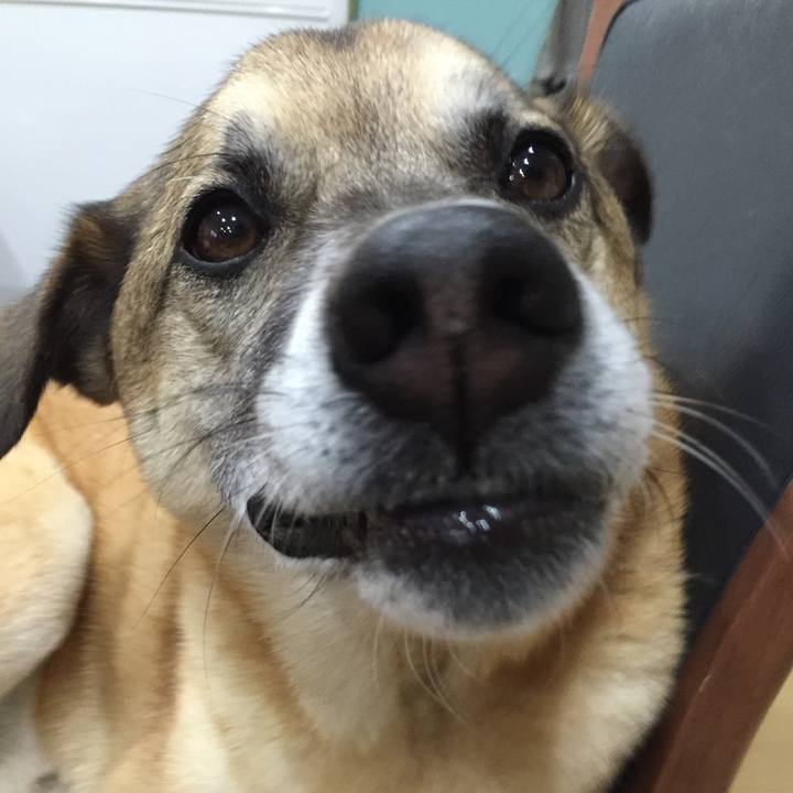 B00549aa 2f2f 42d7 967f 381d287d2c1d